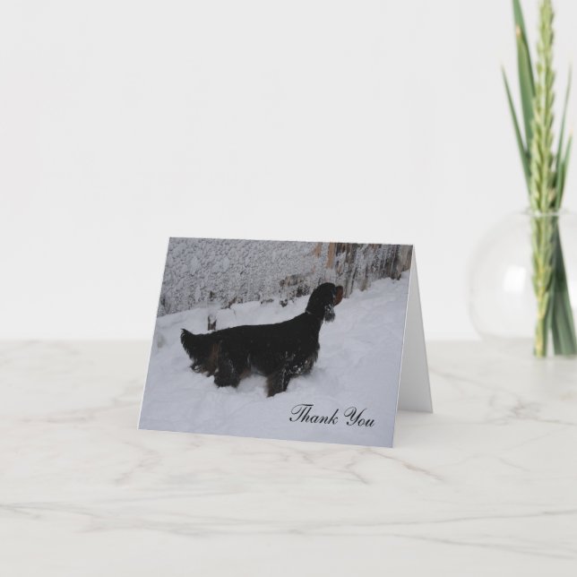 Gordon Setter in a Snowstorm Thank You Note Card (Front)