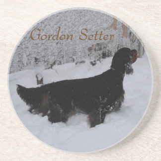 Gordon Setter in Snowstorm Coaster
