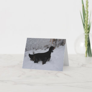 Gordon Setter Note Card