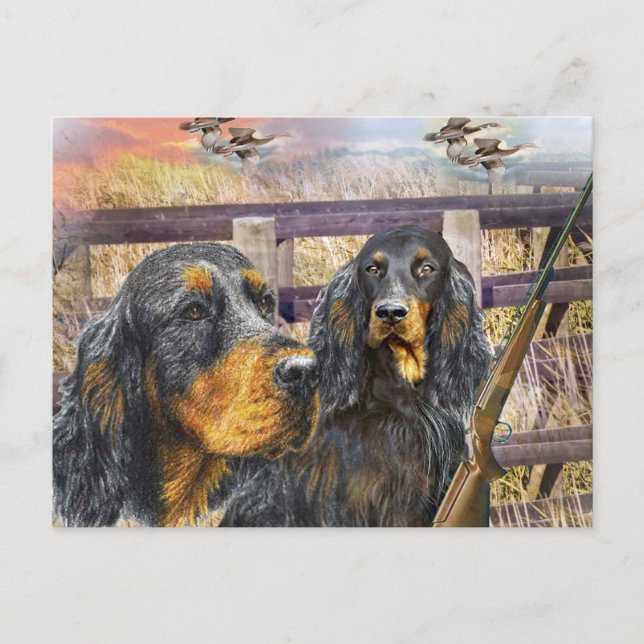 Gordon Setter On A Hunt gifts Postcard (Front)