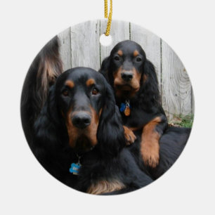 Gordon Setter Pals Photo Ornament