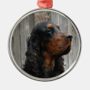 Gordon Setter Photo Ornament