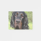 gordon setter.png