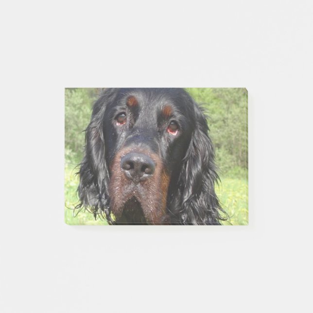 gordon setter.png post-it notes (Front)