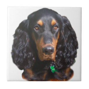 Gordon Setter Portrait Tile