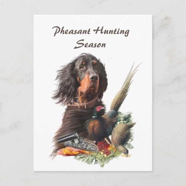 Gordon Setter  Postcard (Front)