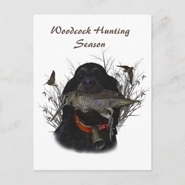 Gordon Setter  Postcard (Front)