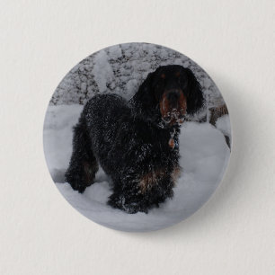Gordon Setter Puppy Button