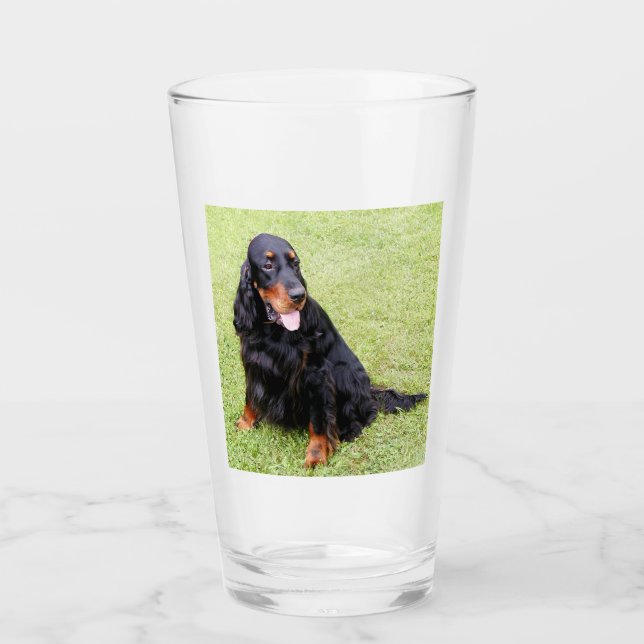 gordon setter sitting glass (Front)
