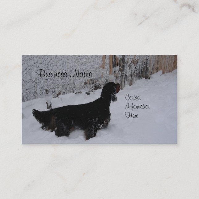 Gordon Setter Winter Business Cards (Front)