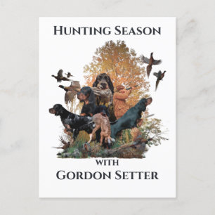 Gordon setters , Art    Postcard