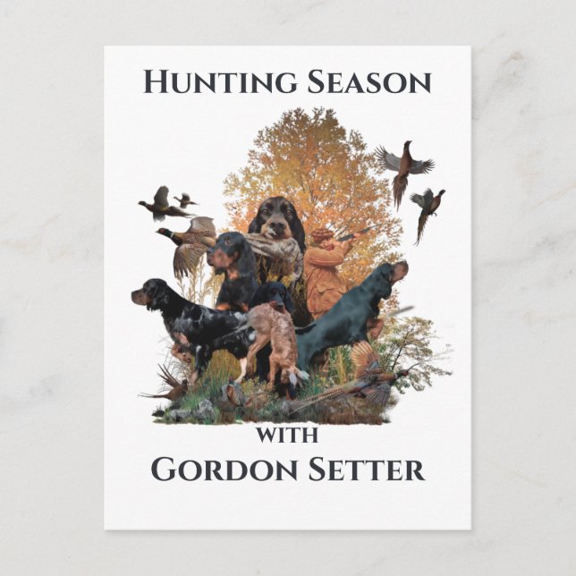 Gordon setters , Art    Postcard (Front)