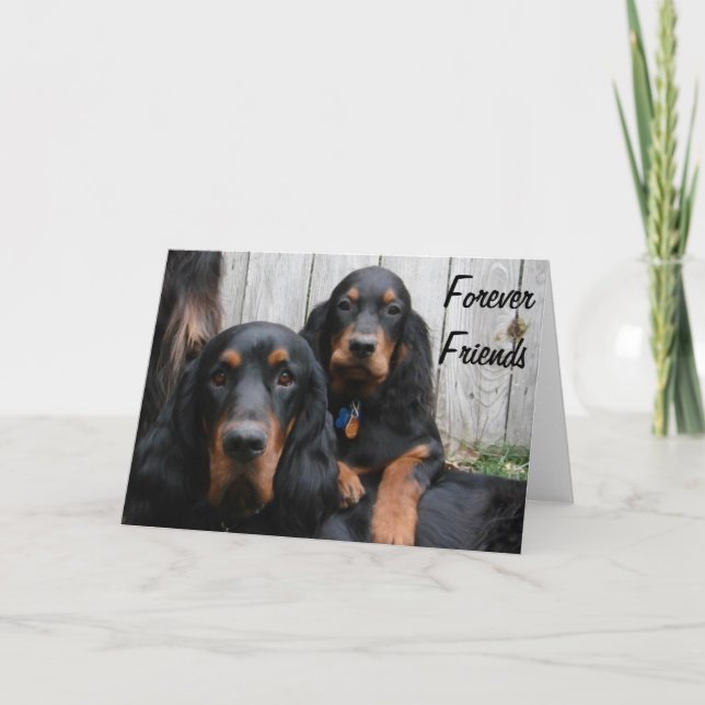 Gordon Setters Forever Friends Note Card (Front)