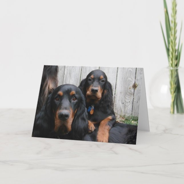 Gordon Setters Note Card (Front)