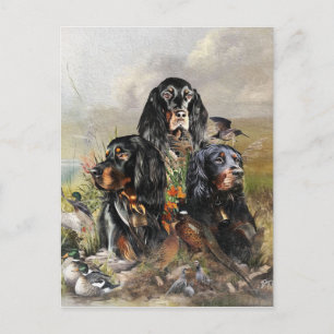 Gordon Setters , Passion for Birds , Art Holiday Postcard