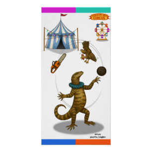 Gordy, goanna juggler poster