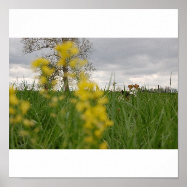 Gordy Poster (Front)