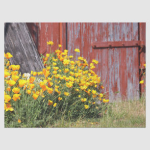 Gorgeous! A Burst of Yellow Flowers and a Red Barn Tissue Paper