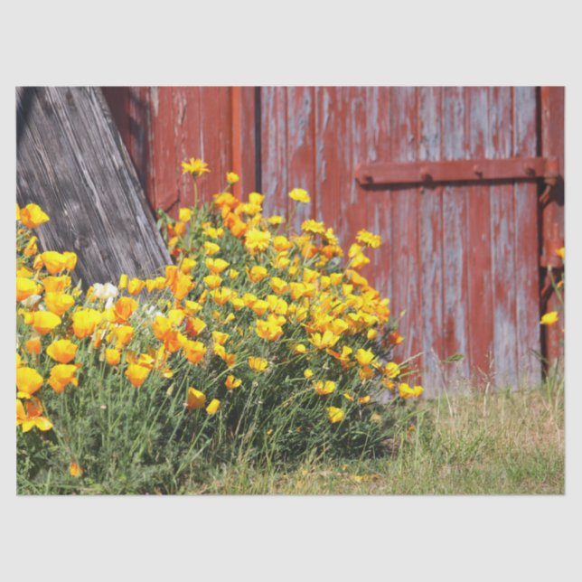 Gorgeous! A Burst of Yellow Flowers and a Red Barn Tissue Paper (Front)