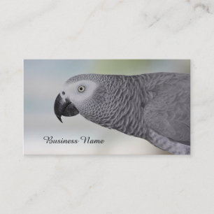 Gorgeous African Grey Parrot Business Card