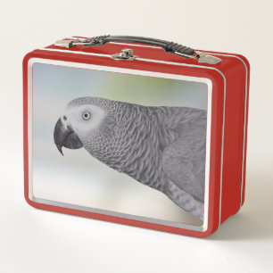 Gorgeous African Grey Parrot Metal Lunch Box