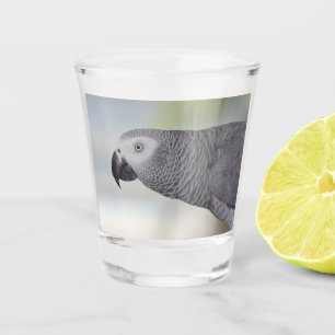 Gorgeous African Grey Parrot Shot Glass