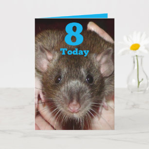 Gorgeous agouti rat customisable 8th Birthday Card