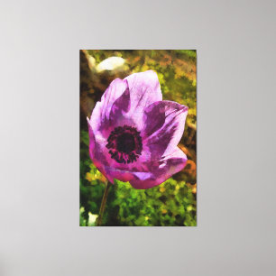 Gorgeous Anemone Coronaria Wildflower Painting Canvas Print
