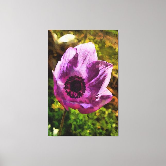 Gorgeous Anemone Coronaria Wildflower Painting Canvas Print (Front)