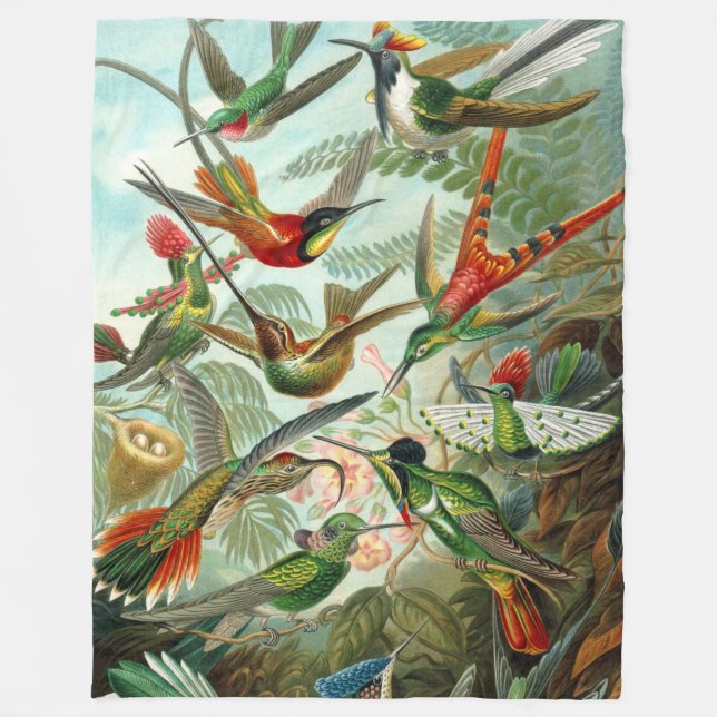 Gorgeous Art Hummingbirds by Ernst Haeckel Fleece Blanket (Front)