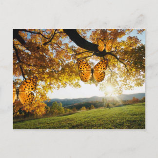 Gorgeous Autumn Landscape butterflies postcard