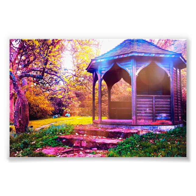 Gorgeous Autumn Scenery at Borde Hill Gardens Photo Print (Front)