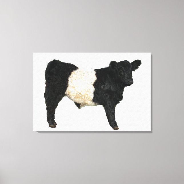 Gorgeous Belted Galloway Steer Cutout Beltie Gift Canvas Print (Front)