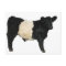 Gorgeous Belted Galloway Steer Cutout