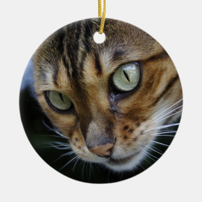 Gorgeous Bengal Cat Ceramic Tree Decoration (Front)