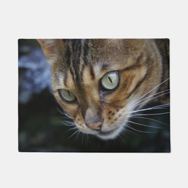 Gorgeous Bengal Cat Doormat (Front)