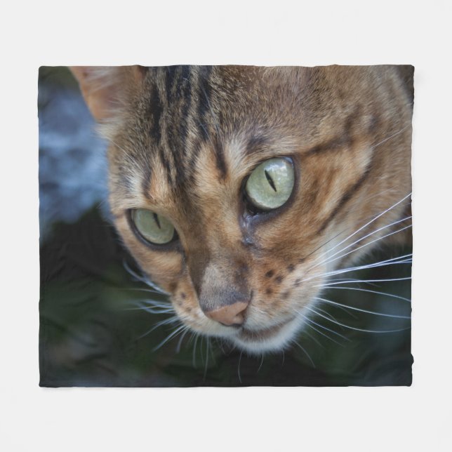 Gorgeous Bengal Cat Fleece Blanket (Front (Horizontal))