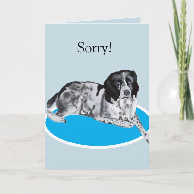 Gorgeous Black and White Springer Sorry Card (Front)