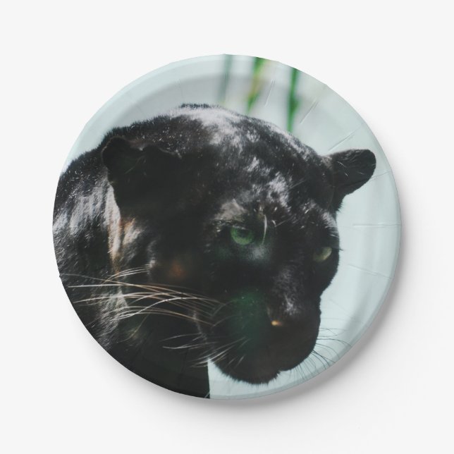Gorgeous Black Panther Paper Plate (Front)