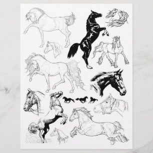 Gorgeous Black & White Line Art Drawings of Horses