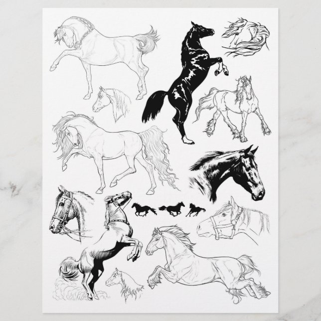 Gorgeous Black & White Line Art Drawings of Horses (Front)