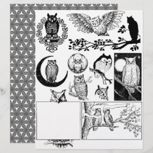 Gorgeous Black & White Line Art Drawings of Owls