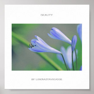 Gorgeous Blue Flowers Beauty Poster