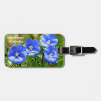 Gorgeous Blue Wildflowers Pop Against Green Grass