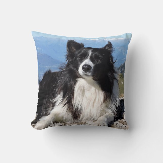 Gorgeous Border Collie Dog black white Cushion (Front)