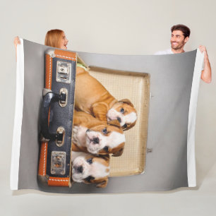 Gorgeous Bulldog Puppies Dog Lover Fleece Blanket