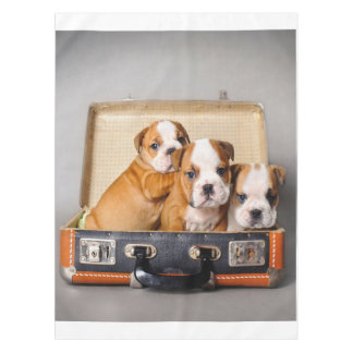 Gorgeous Bulldog Puppies | Dog Lover Tablecloth
