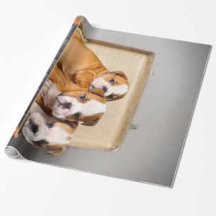 Gorgeous Bulldog Puppies Dog Lover Wrapping Paper
