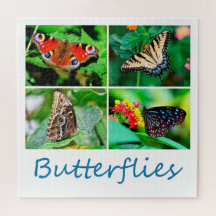 Gorgeous Butterflies Collage, 4 Photos
