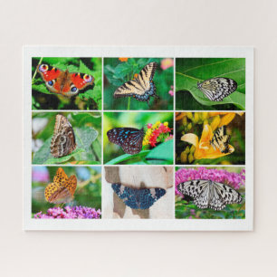 Gorgeous Butterflies Collage, 9 Photos Jigsaw Puzzle